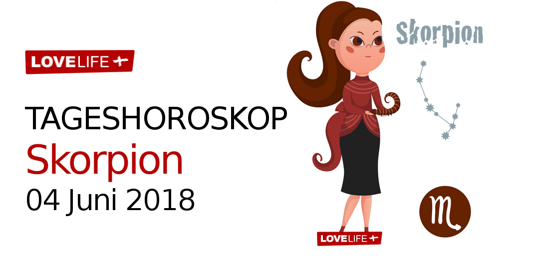 Skorpion kennenlernen